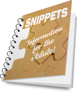 snippets book cover
